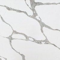 Vicostone Forza BQ-8920