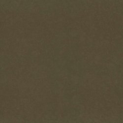 Cambria Canongate
