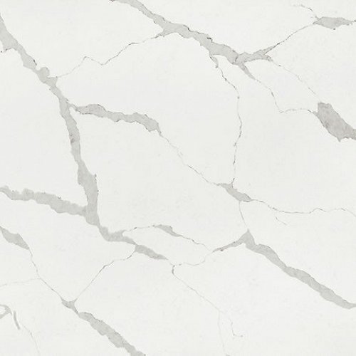 Radianz Nantucket Whale