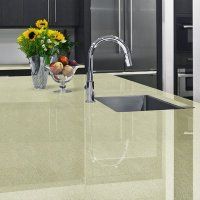 Vicostone Cascara BS-181