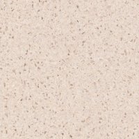 Staron Shell