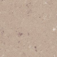 Caesarstone 4230 Shitake