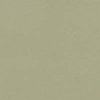 Vicostone Cascara BS-181