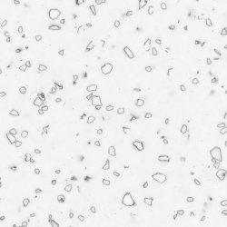 Staron Mosaic Dalmatian