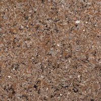 Radianz Wilshire Amber