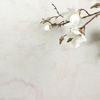 Staron Magnolia